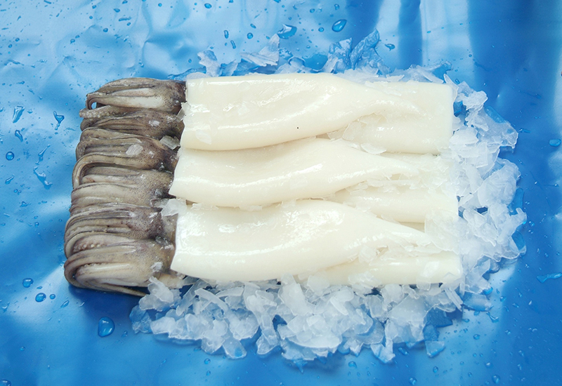 魷魚(yú)T&T