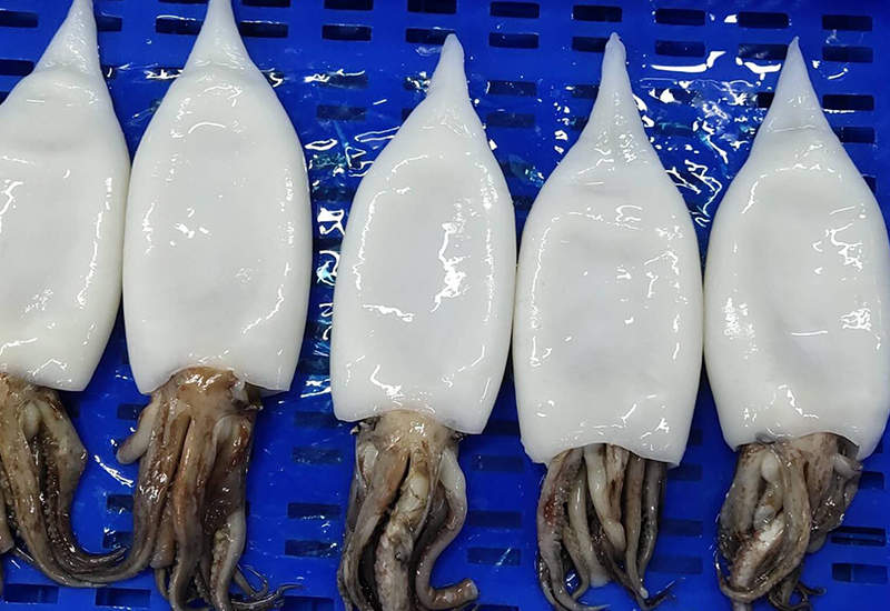 塞頭筒